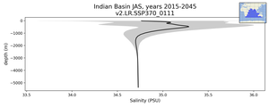 Indian Basin Salinity vs depth