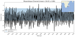 Transport through the Mozambique Channel Transect