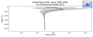 Indian Basin Salinity vs depth