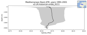 Mediterranean Basin Salinity vs depth