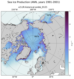 ANN ANN Climatology Map of Northern-Hemisphere Sea Ice Production