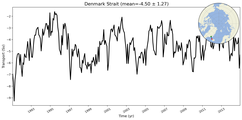 Transport through the Denmark Strait Transect