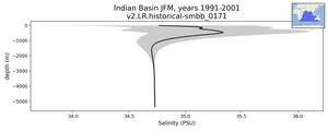 Indian Basin Salinity vs depth
