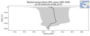 Mediterranean Basin Salinity vs depth