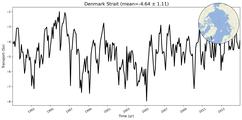 Transport through the Denmark Strait Transect