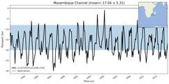 Transport through the Mozambique Channel Transect