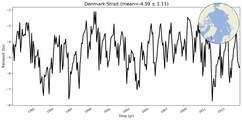 Transport through the Denmark Strait Transect