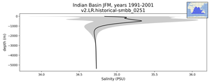 Indian Basin Salinity vs depth