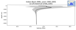 Indian Basin Salinity vs depth