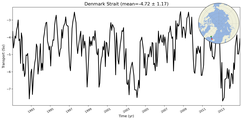 Transport through the Denmark Strait Transect